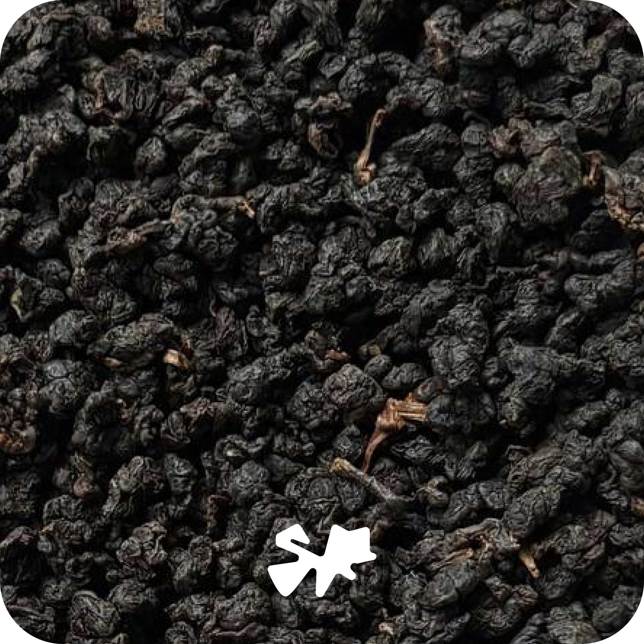 Dark Tie Guan Yin