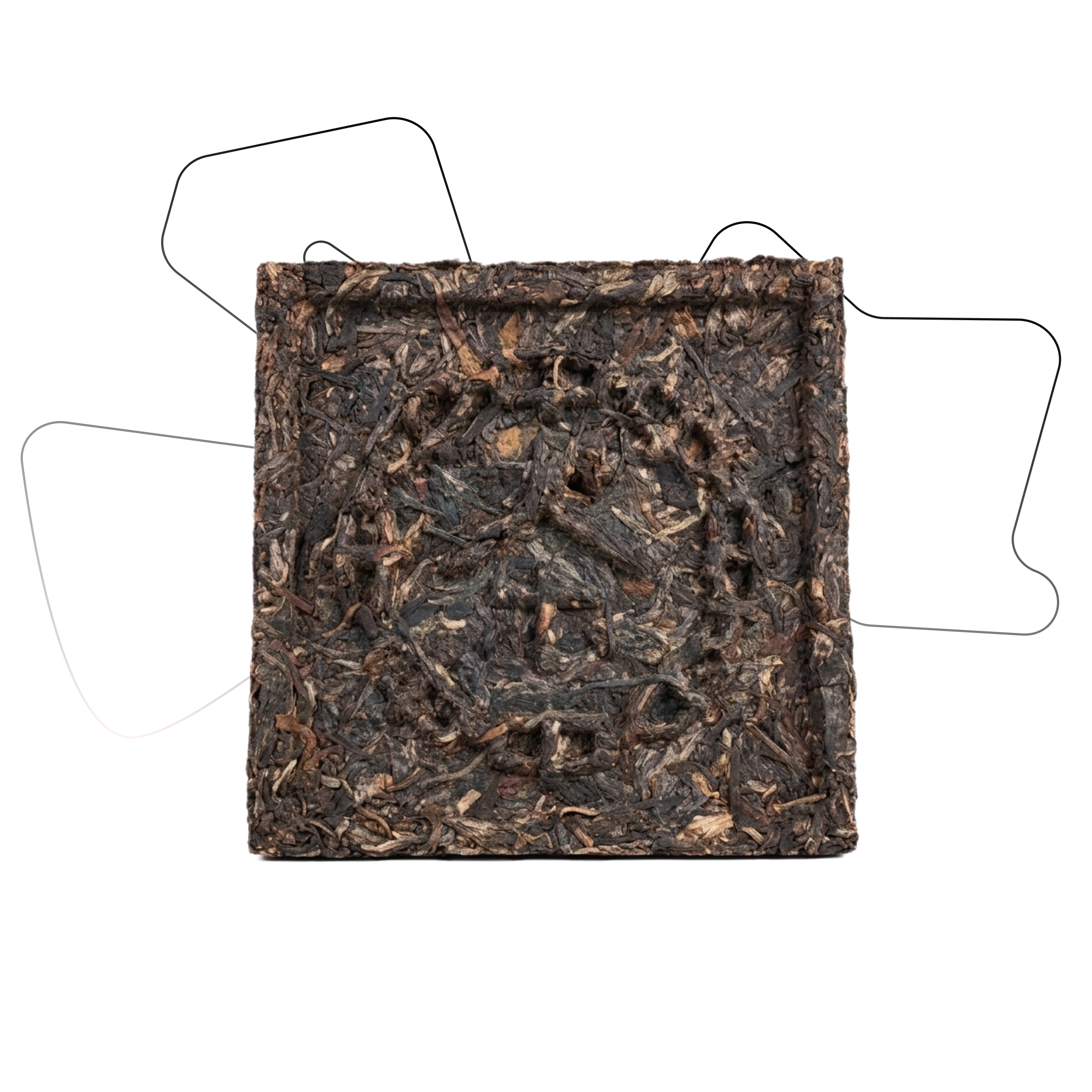 SHENG PUERH [GREEN SEAL] 2002